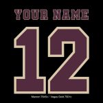 Maroon 7645c Vegas Gold 7501c block numbers